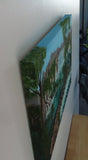 top view or Rushing River showing the tall trees