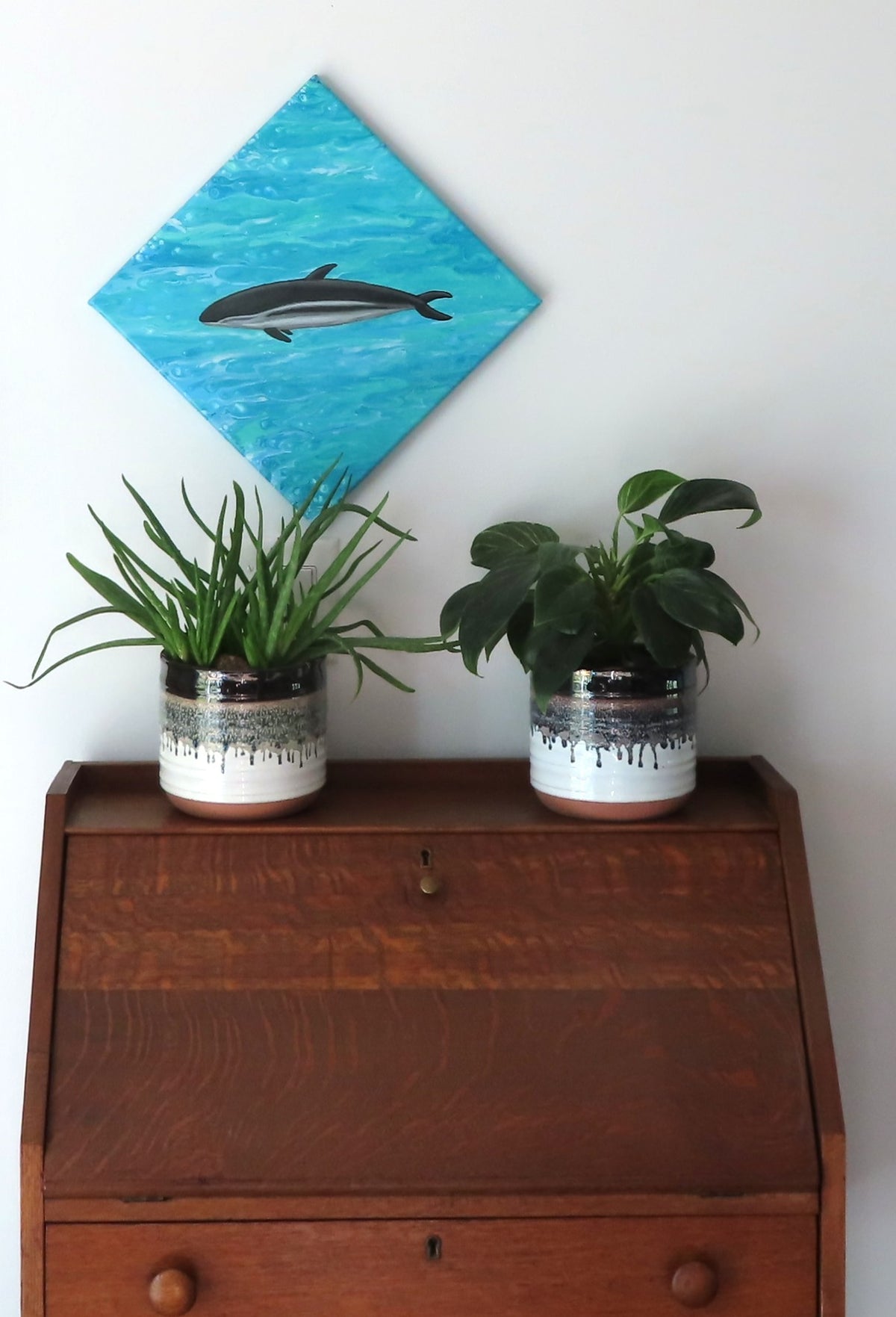 12x12" canvas measures 17x17" when displayed diagnally. The dusky dolphin is a bright focal point on a poured acrylic background which looks remarkably like water.