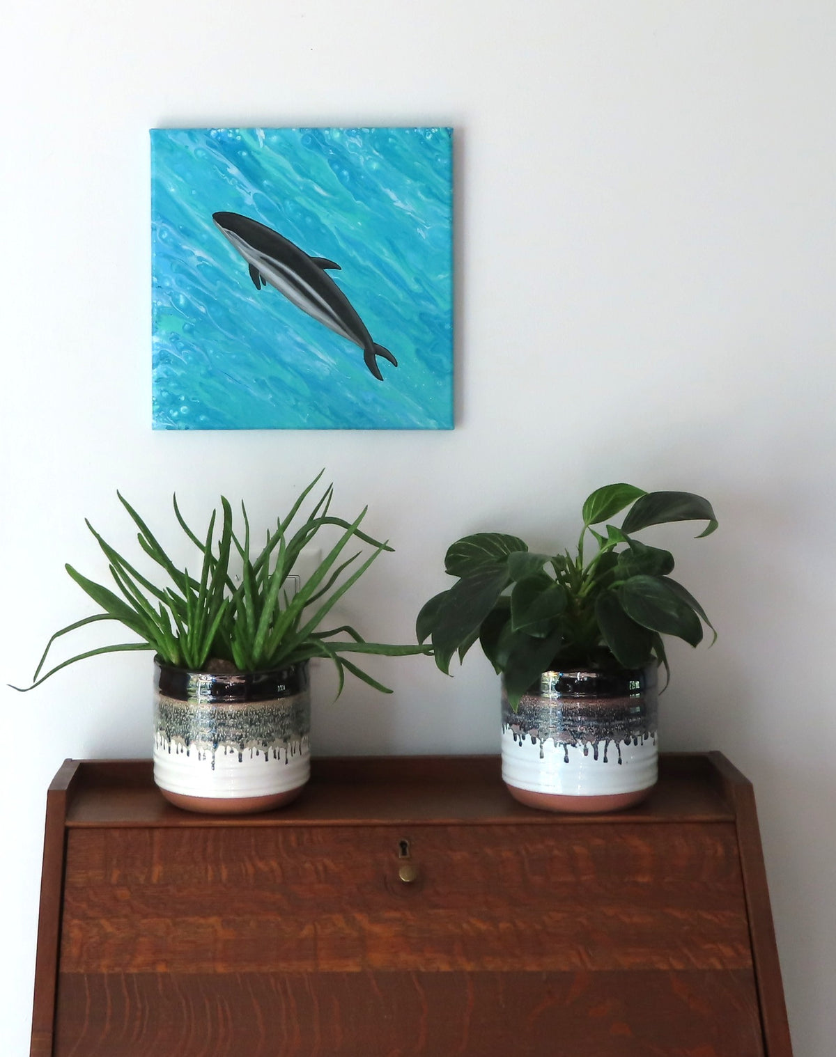 12x12" acrylic on canvas. The dusky dolphin is a bright focal point on a poured acrylic background which looks remarkably like water.