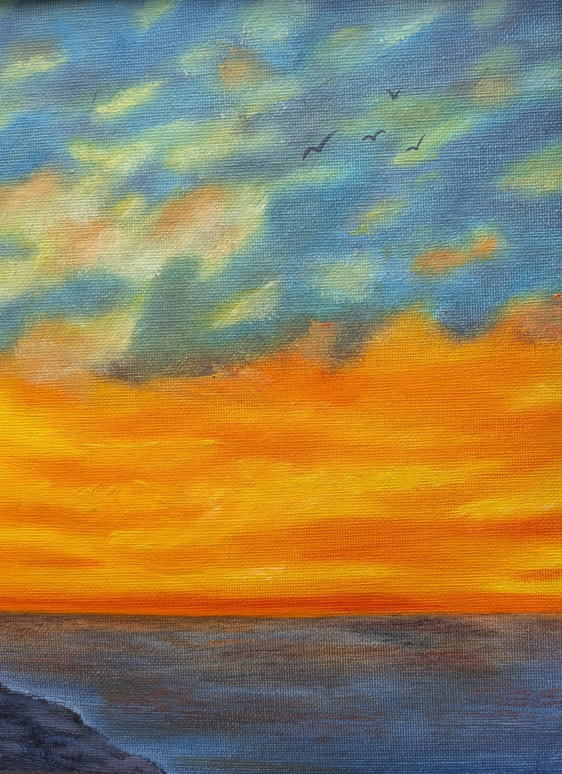 closeup of birds in darkening sky over sunset
