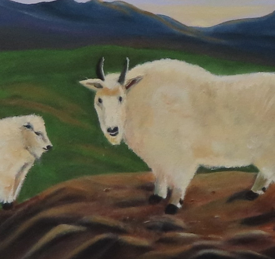 original 16x20 oil painting, two mountain goats, unusual frame, showing close-up of goats