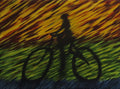 original abstract acrylic painting, the shadow of a racing bicyclist, unframed