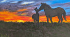 original oil painting, mare and foal in field at sunset, deep cradle canvas, showing close-up shot of horses and fireflies