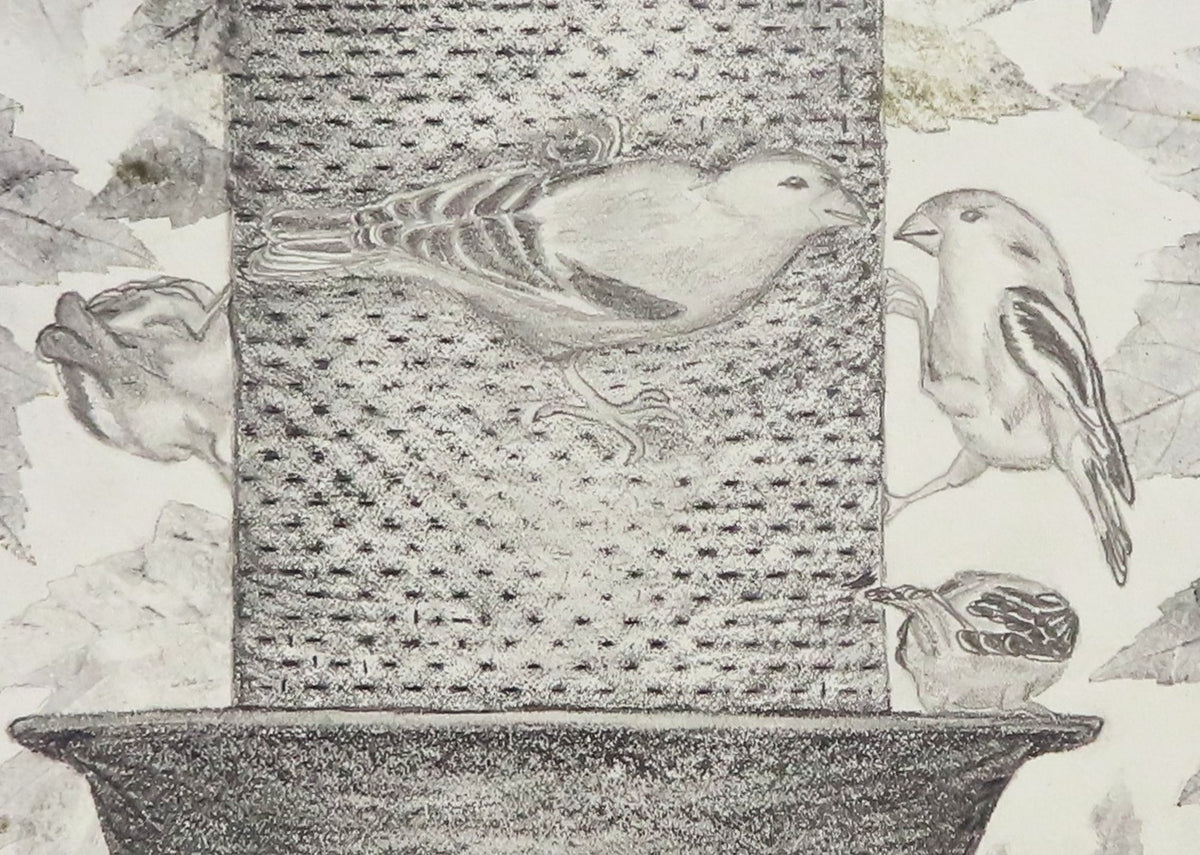 9x12 original graphite and charcoal drawing, black mat and frame, showing close-up of finches