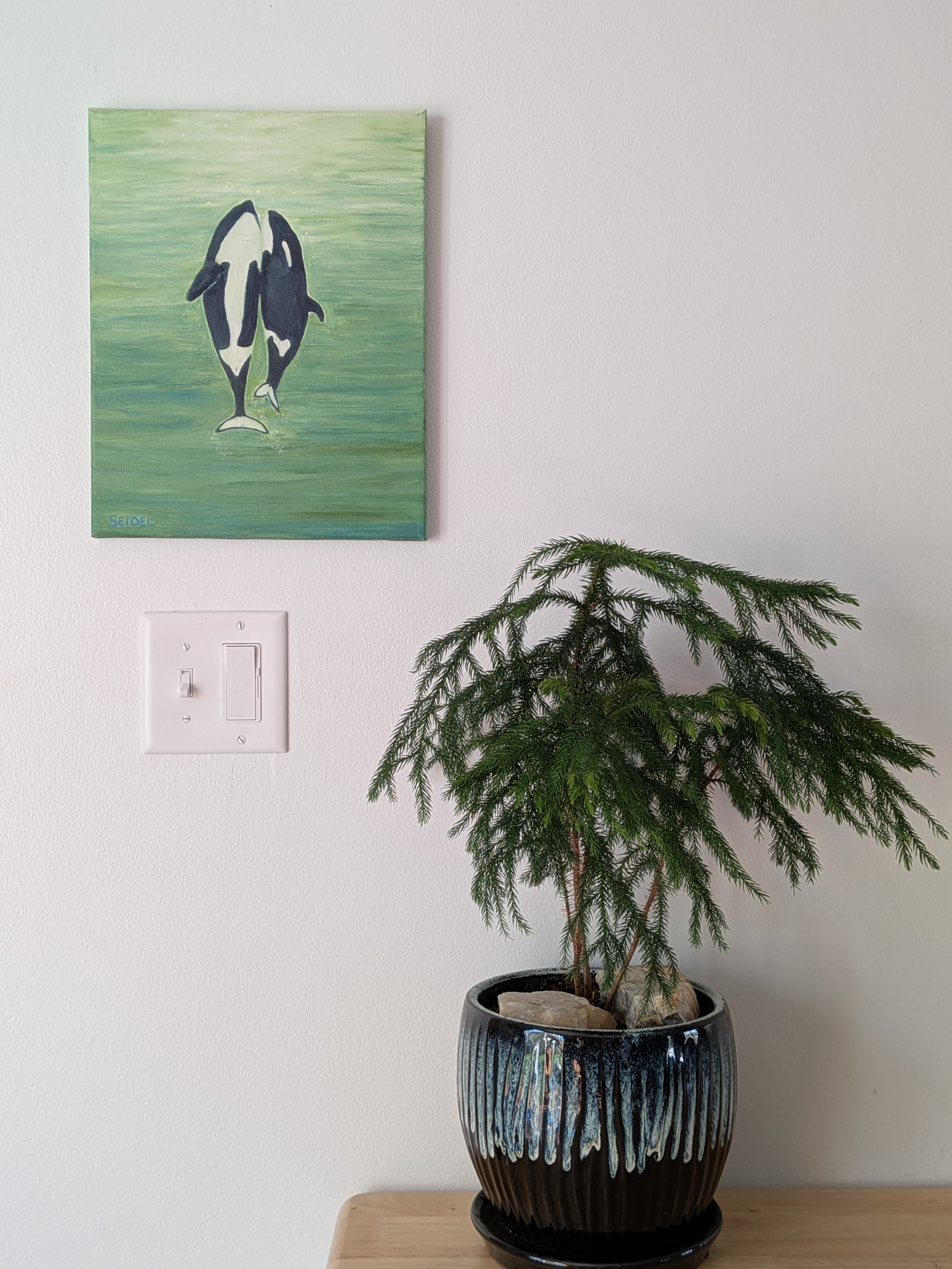original 11x14 oil painting, two orca whales  seem to dance to the surface of the ocean, pictured over table