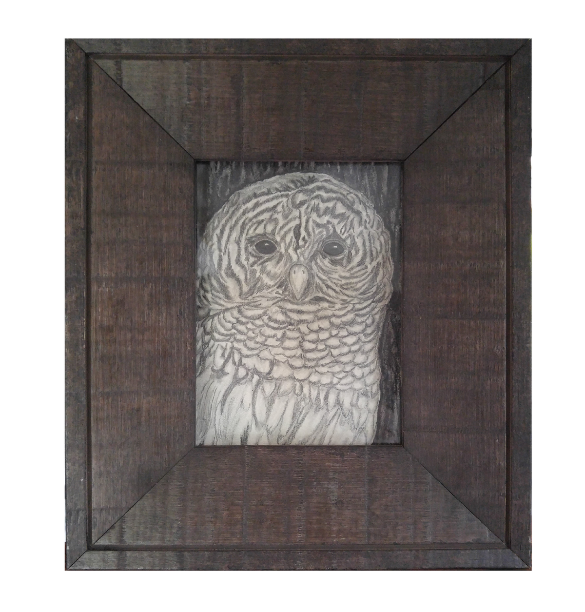 5x7" Original graphite drawing, Owl, Italian wood frame-outside dimension is 10" wide by 12" tall