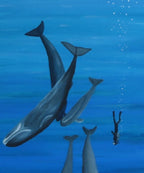 11x14 original oil painting of a scuba diver swimming with whales, close-up of diver and whale