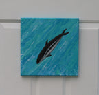 Dusky Dolphin
