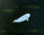 A Beluga Smile Unframed Oil Painting beluga whales in emerald colored ocean
