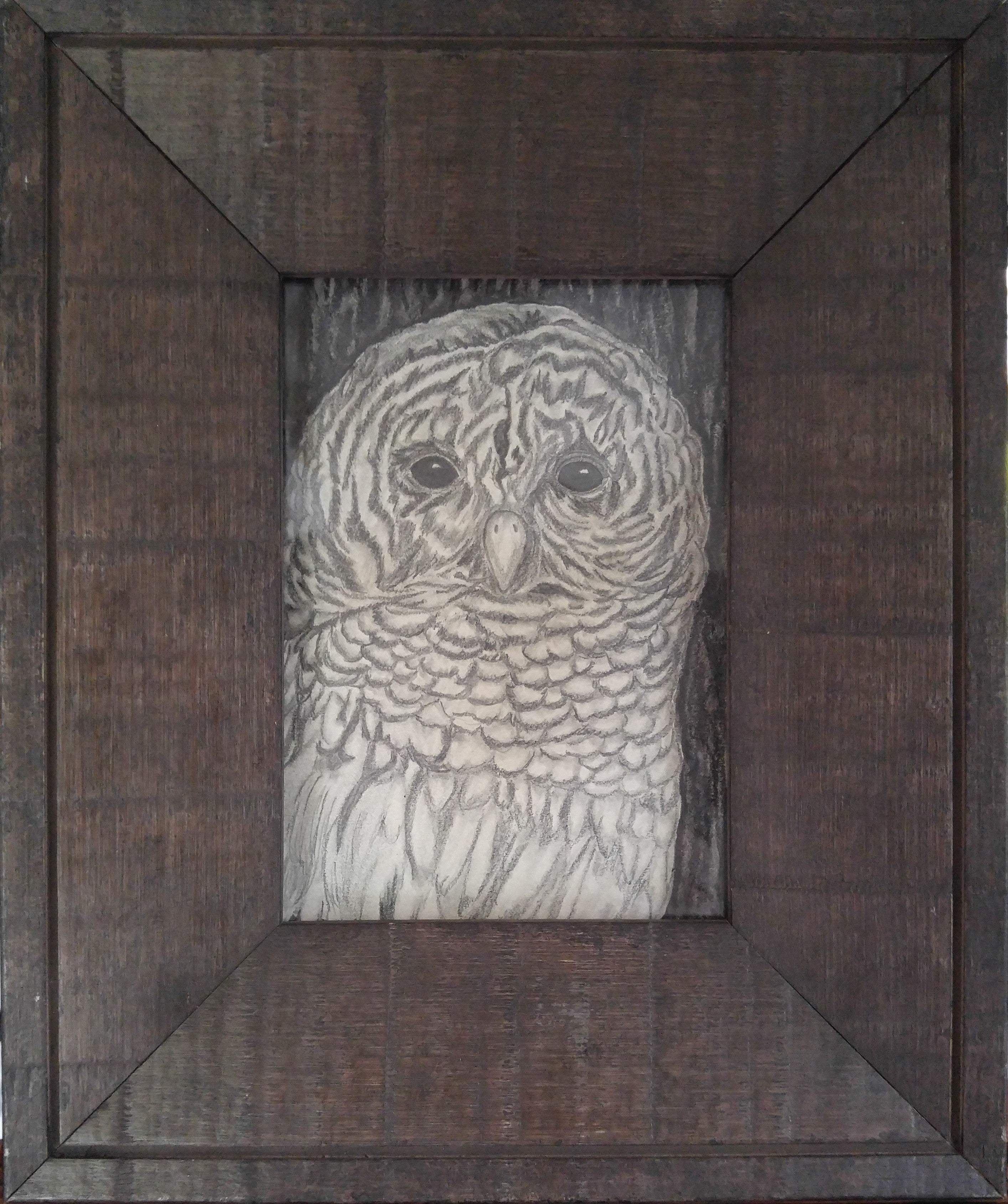 Original graphite drawing, Owl Italian wood frame
